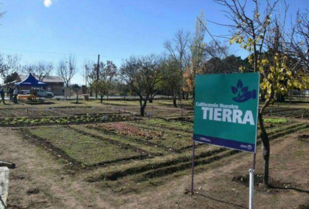 El Gobierno pone en marcha la segunda huerta agroecol�gica provincial