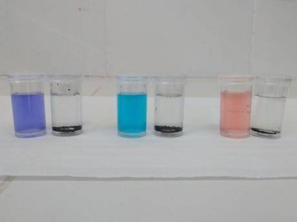 Cientficos platenses prueban descontaminar agua con desechos