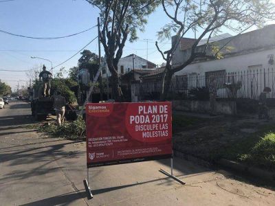 El �Plan de Poda 2017� contin�a en m�s barrios de Tigre