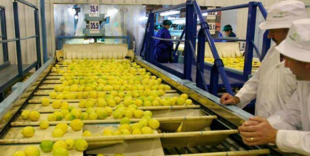 EE.UU. emiti� la autorizaci�n definitiva para el ingreso de limones tucumanos