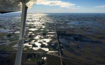 Hay 400.000 hect�reas afectadas por las inundaciones en Bol�var