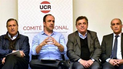 La UCR qued� satisfecha por su aporte para las PASO
