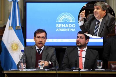 Naidenoff defendi� los cr�ditos ARGENTA contra los que volvi� a oponerse Mayans