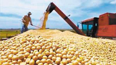 La lupa sobre exportaciones: qu� vendi� la Argentina en el segundo trimestre