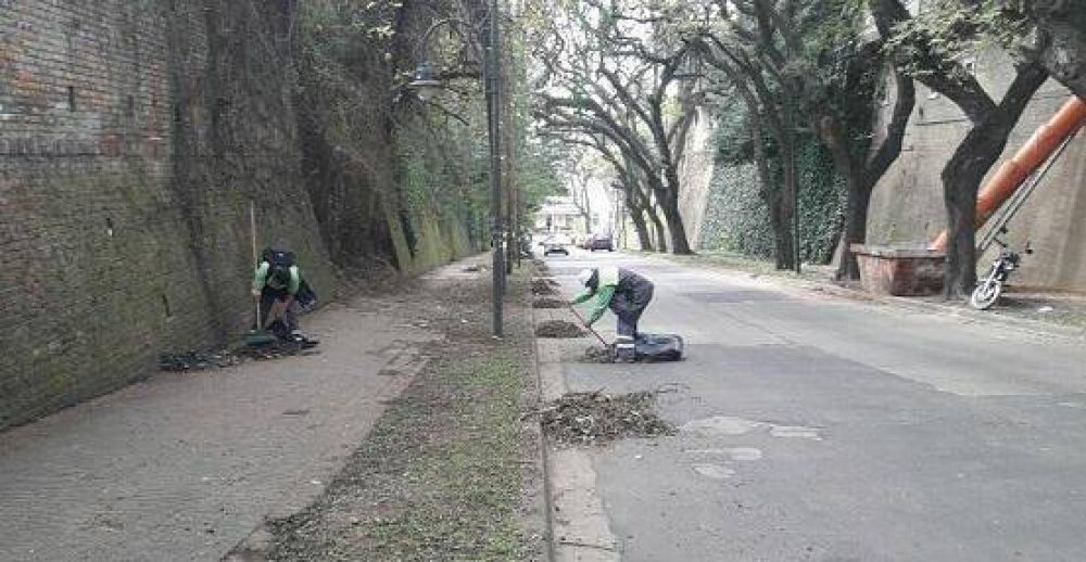 El Municipio realiz� tareas de limpieza urbana en Punta Chica