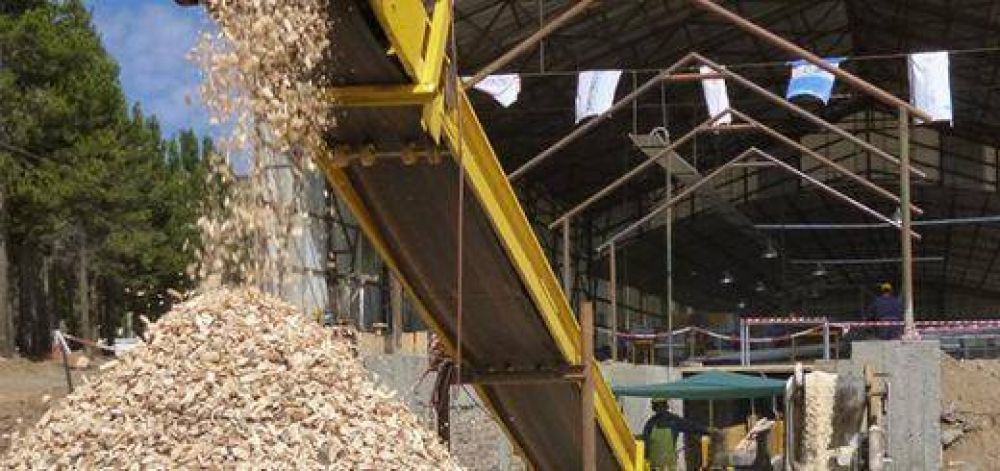 Entre Misiones y Corrientes se moviliza m�s de 14 millones de toneladas de biomasa forestal por a�o