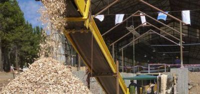 Entre Misiones y Corrientes se moviliza m�s de 14 millones de toneladas de biomasa forestal por a�o