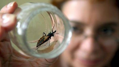 Un medicamento argentino que aprobó hoy la FDA cambia el paradigma contra el Mal de Chagas en niños