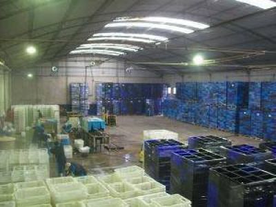 Denuncian 25 despidos en una planta de sanitizaci�n