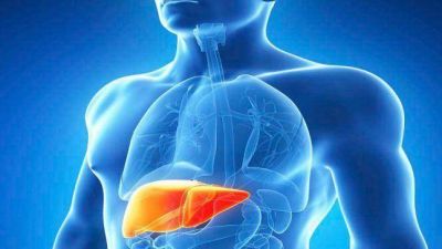Buscan a 240 mil argentinos que padecen Hepatitis C y no lo saben