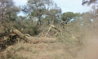 Quedan 23 mil hect�reas explotables en Santa Rosa de 170 mil que hab�a