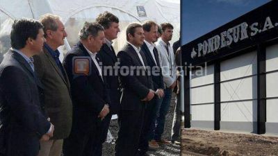 Contradicci�n: De Angeli en la inauguraci�n de frigor�fico de cerdos	 