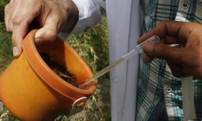 Con descacharreo en dos barrios, la Comuna lanza la campa�a contra el dengue