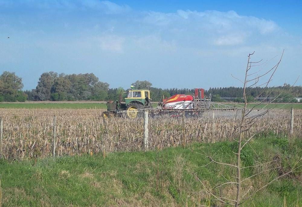 Denuncian fumigaciones con agroqu�micos cerca de una escuela