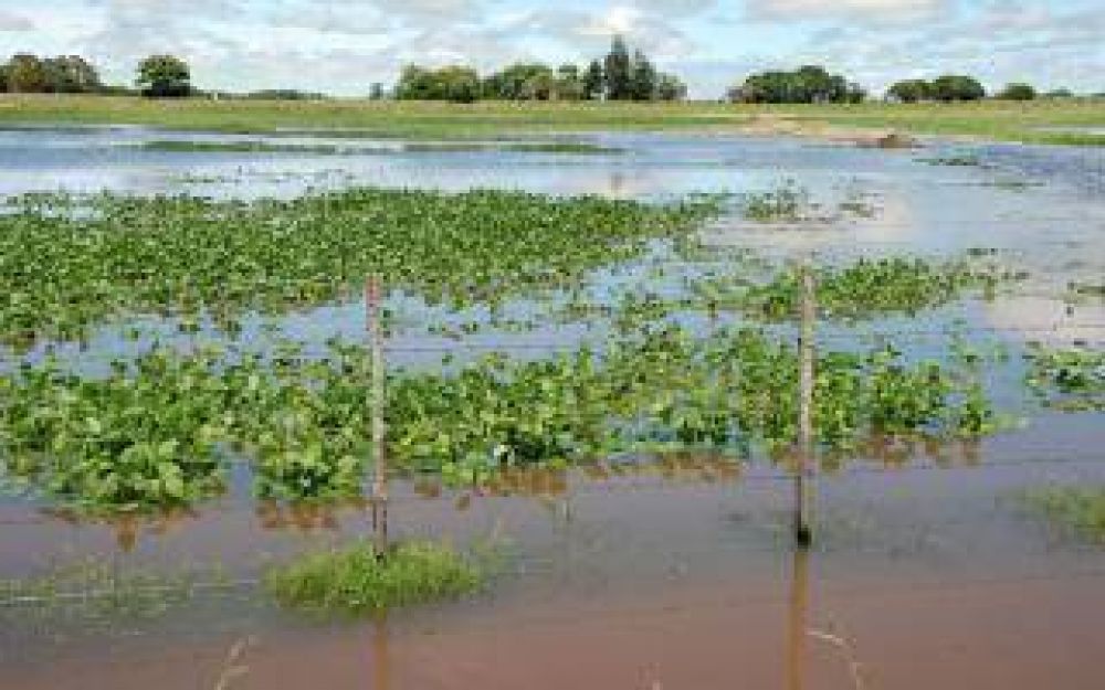 Decisi�n del Ministerio de Agroindustria nacional: Emergencia agropecuaria para diez distritos bonaerenses