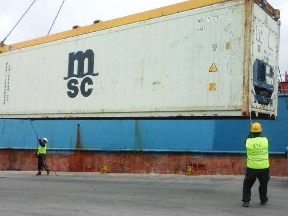Terminal de Contenderos 2 exportar� frutilla marplatense al mundo