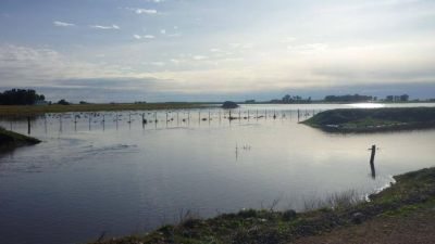 Un informe advierte que el 57% de los campos de Dorrego est� con agua