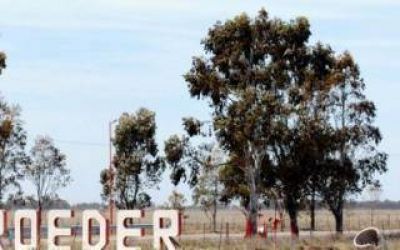 Afirman que es inminente la puesta en funciones del gasoducto Villarino-Patagones
