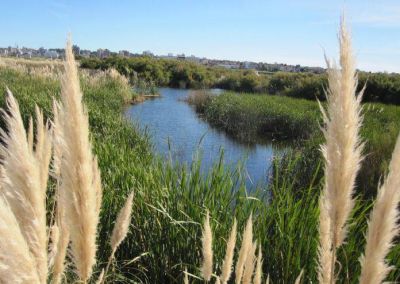Exigen que se cumpla con la ley y se proteja a la Reserva Natural Puerto