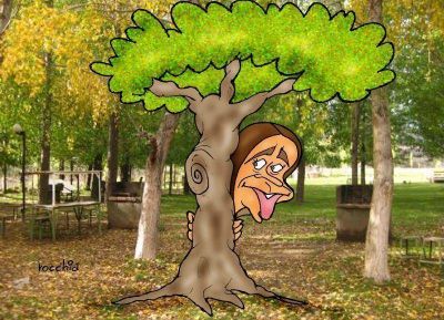 Pas� Irma y apareci� la gobernadora Mar�a Eugenia Vidal