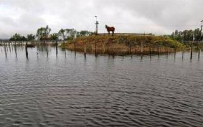 Intendente de General Villegas:  �El 40 por ciento de los tambos ha dejado de producir�
