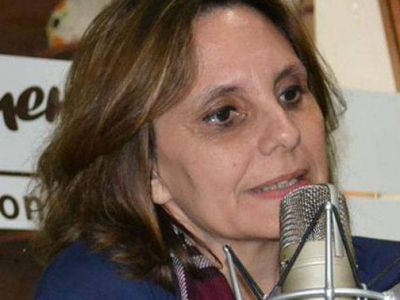 Ingresar� a Diputados el proyecto sobre Violencia