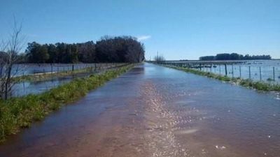Inundaciones: habr� merma en la producci�n agr�cola ganadera en el partido