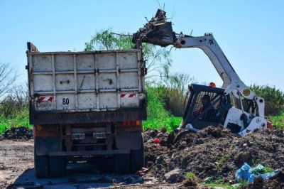 Comenz� la limpieza de la ruta que va de Villa Elisa a Punta Lara