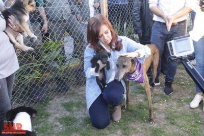 Cristina continu� la campa�a en Berazategui