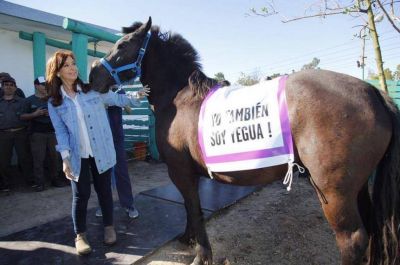 Cristina no se niega al debate entre candidatos pero pide que lo organicen las universidades p�blicas