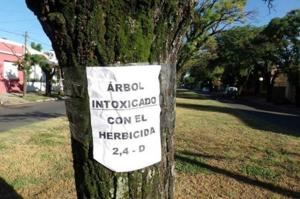 Buscan prohibir totalmente el uso del herbicida 2-4D en la provincia de Buenos Aires