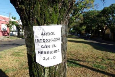 Buscan prohibir totalmente el uso del herbicida 2-4D en la provincia de Buenos Aires