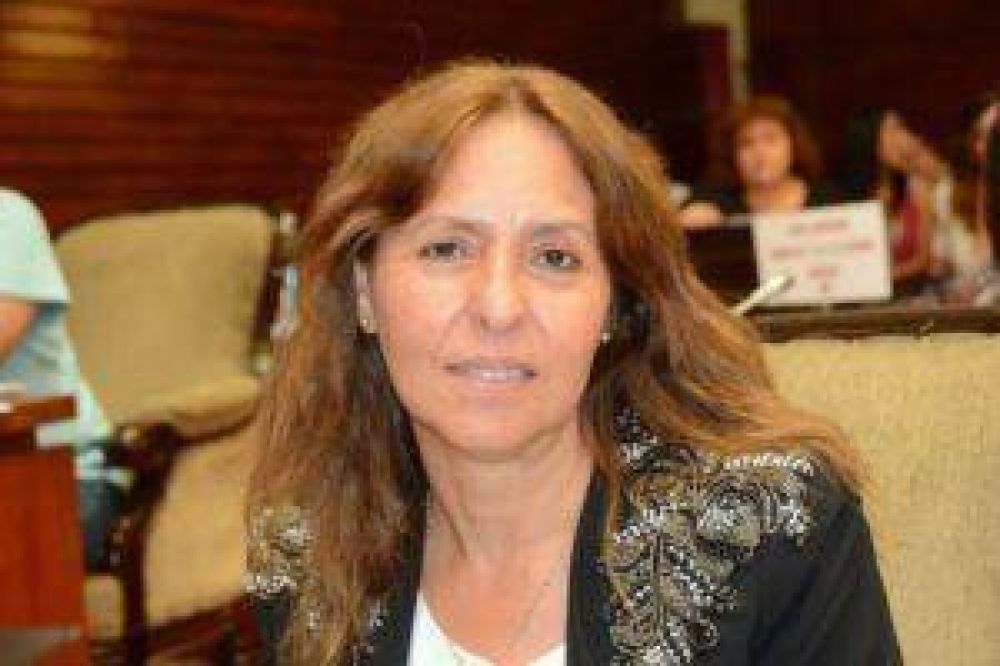 Jujuy: Diputada provincial denunci� la venta de terrenos fiscales a trav�s de internet