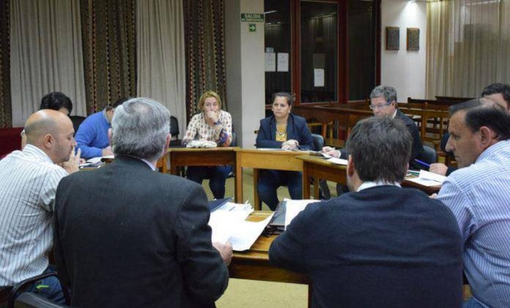 El Concejo analiza crear el Bolet�n Oficial Municipal