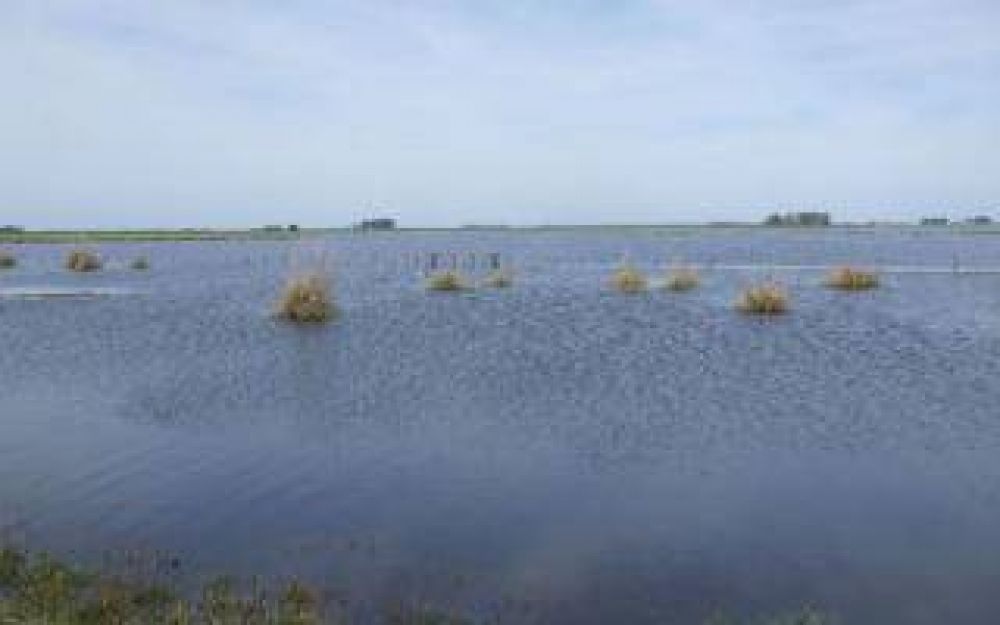 Inundaciones: Entidades rurales del oeste bonaerense preocupadas por la demora en llegada de beneficios