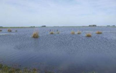Inundaciones: Entidades rurales del oeste bonaerense preocupadas por la demora en llegada de beneficios