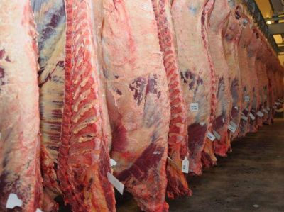 Importaci�n de carne de Brasil: el mercado interno est� abastecido
