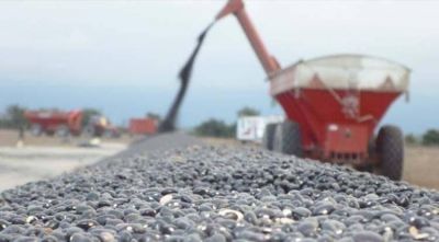 Tucum�n es un sello de calidad exportadora en las ferias globales