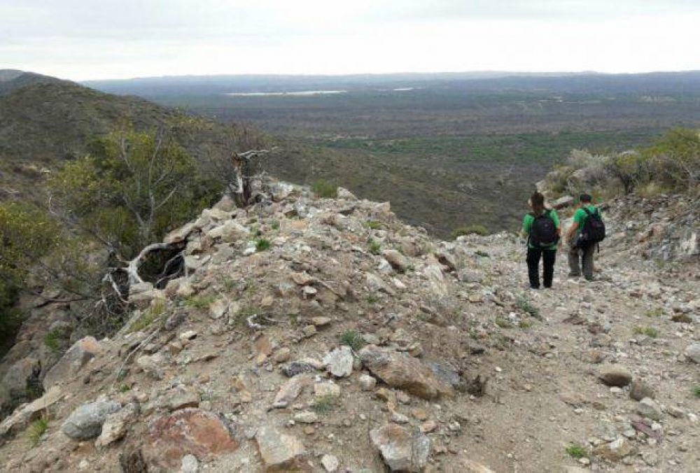 El Gobierno inform� que la firma australiana no posee autorizaci�n legal para extraer litio