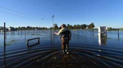 El 50% de los campos en el oeste bonaerense est� bajo el agua