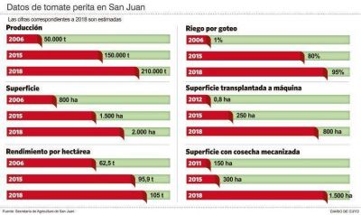 En doce a�os San Juan cuadruplica la producci�n de tomate para industria