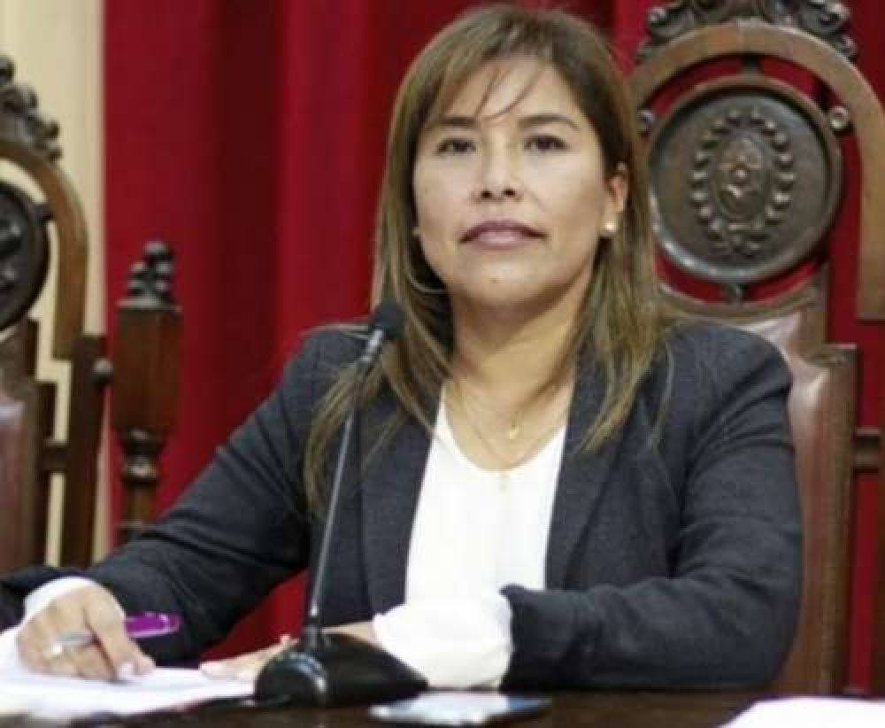 Legisladora urtubeycista atac� la reforma laboral y previsional que planea Macri