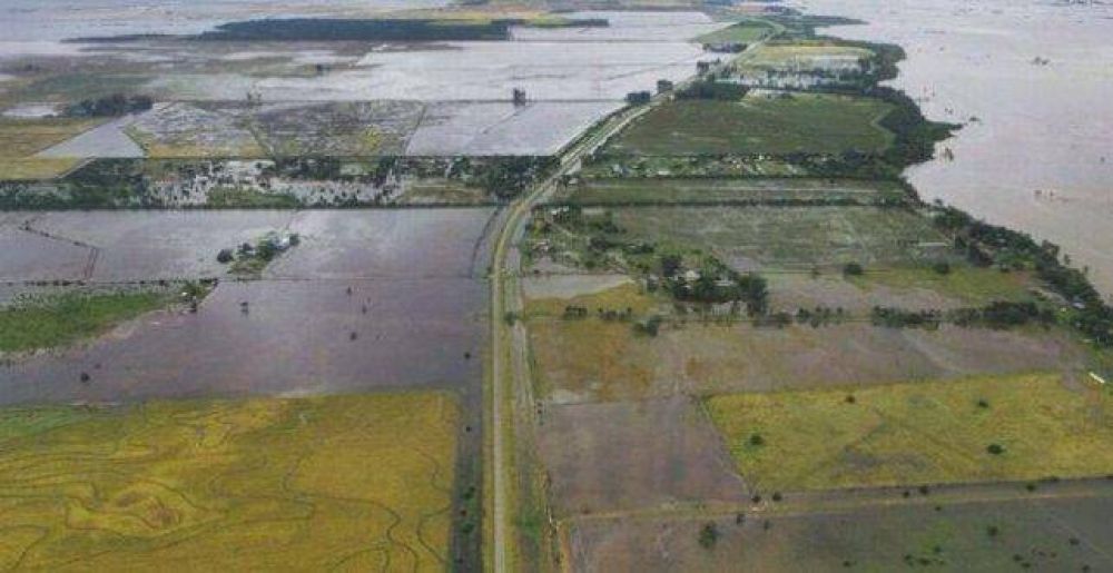 Declaran la emergencia agropecuaria en dos departamentos de Santa Fe