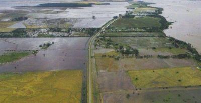 Declaran la emergencia agropecuaria en dos departamentos de Santa Fe
