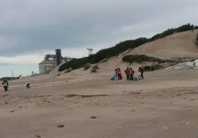 Tareas de limpieza en playas de Quequ�n