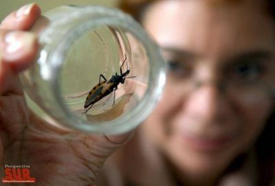 El mal de Chagas afecta a m�s de 1 mill�n de argentinos