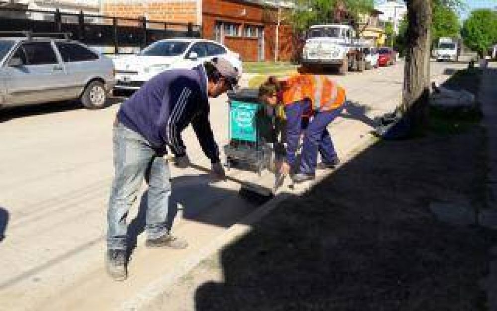 Z�rate: Comenz� el programa 