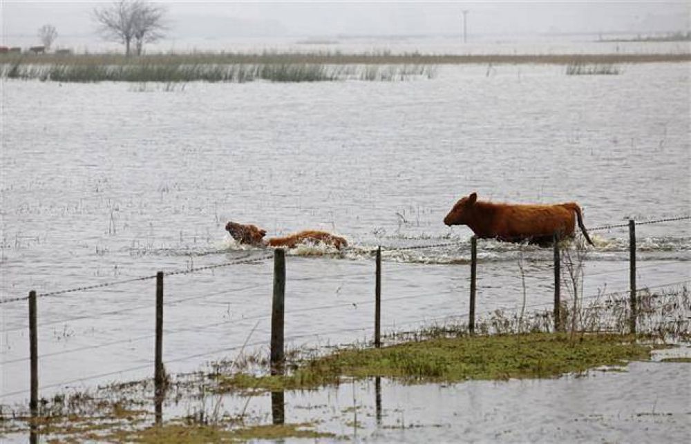 Reclaman que el Gobierno bonaerense acelere la Emergencia Agropecuaria