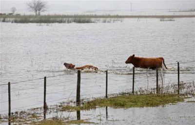 Reclaman que el Gobierno bonaerense acelere la Emergencia Agropecuaria
