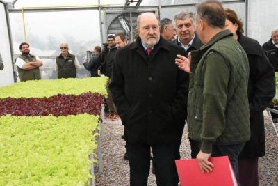El CeRET se propone abastecer al 80% de los horticultores pampeanos
